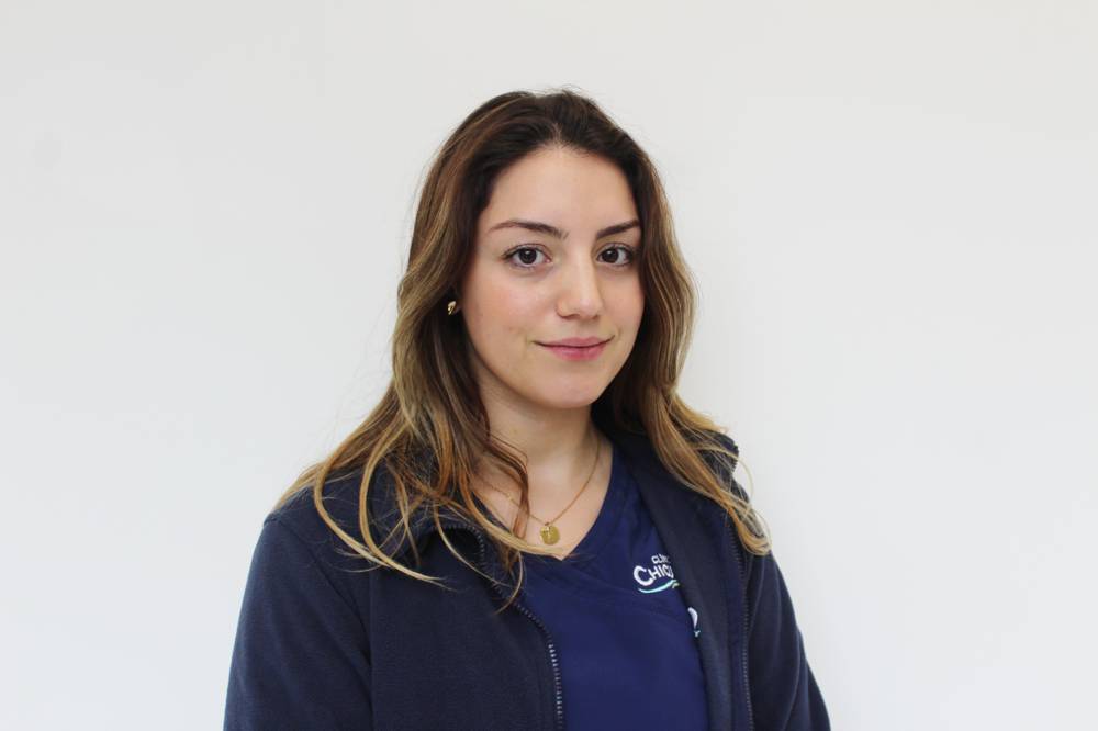 </p>
<p style="text-align: center;">Dr. José Luis Gatica Monsalve</p>
<p>